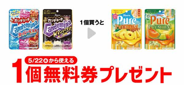 2025年コンビニプライチ　セブンイレブンプライチ予定　プライチ予定